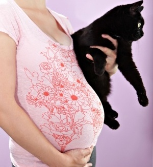 Bolehkah Ibu Hamil Memelihara Kucing?