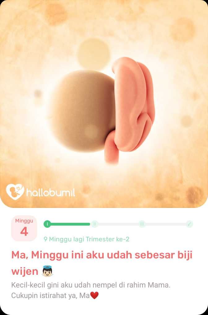 Test Article Pregnancy T3 (Resep Ideal) 2 QA Title